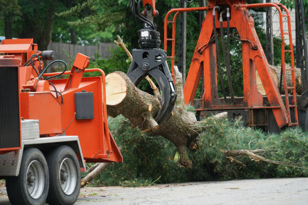 Best Emergency Tree Service  in Stewartstown, PA